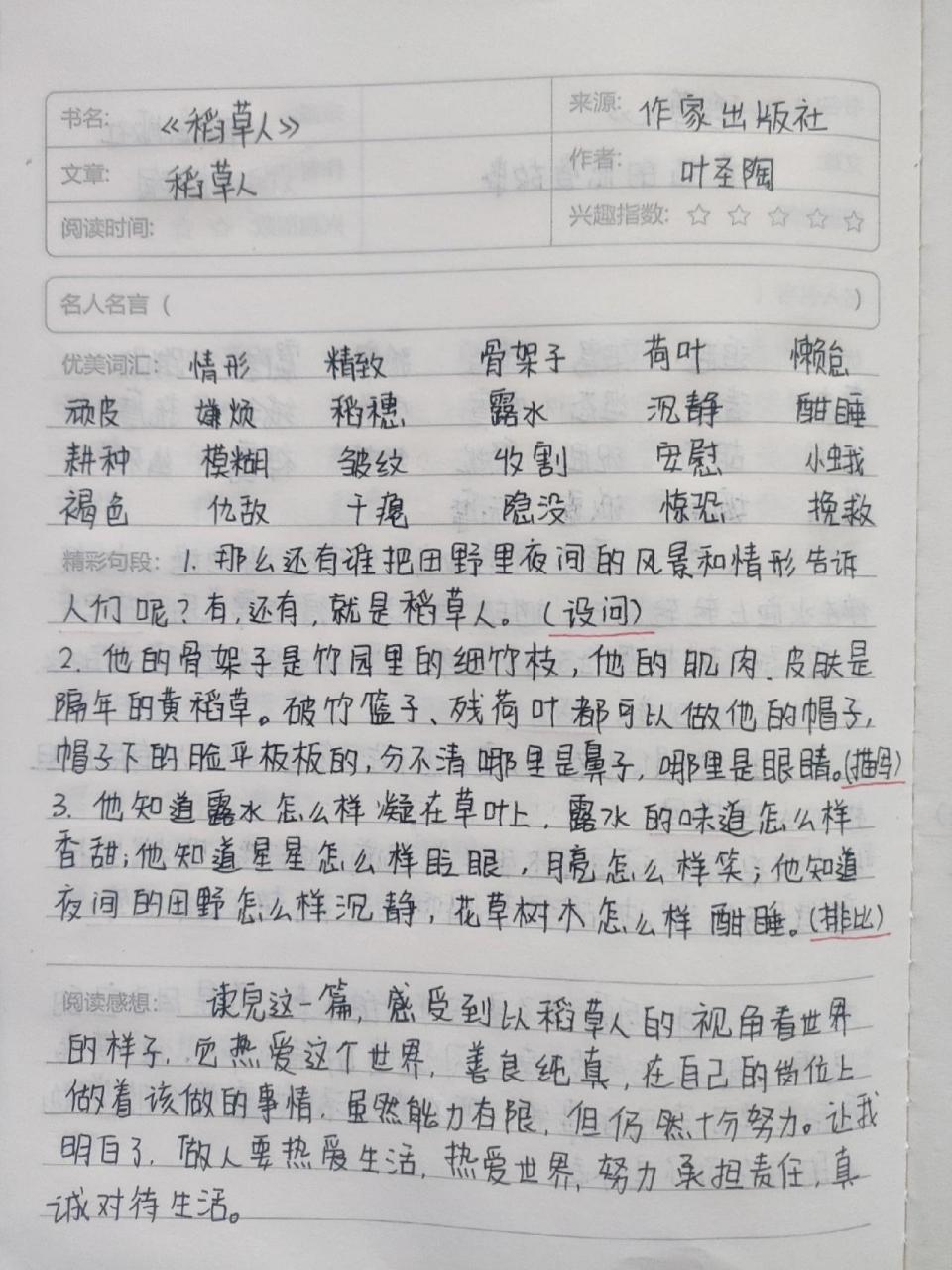 稻草人读书笔记手写笔记 《稻草人》读书笔记小黄猫的恋爱故事,花园外