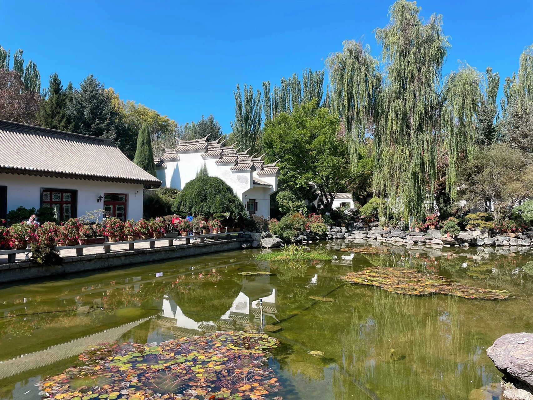 误入江南～西宁植物园 之盆景园  刷到好久了,也许也是热衷于各种探店