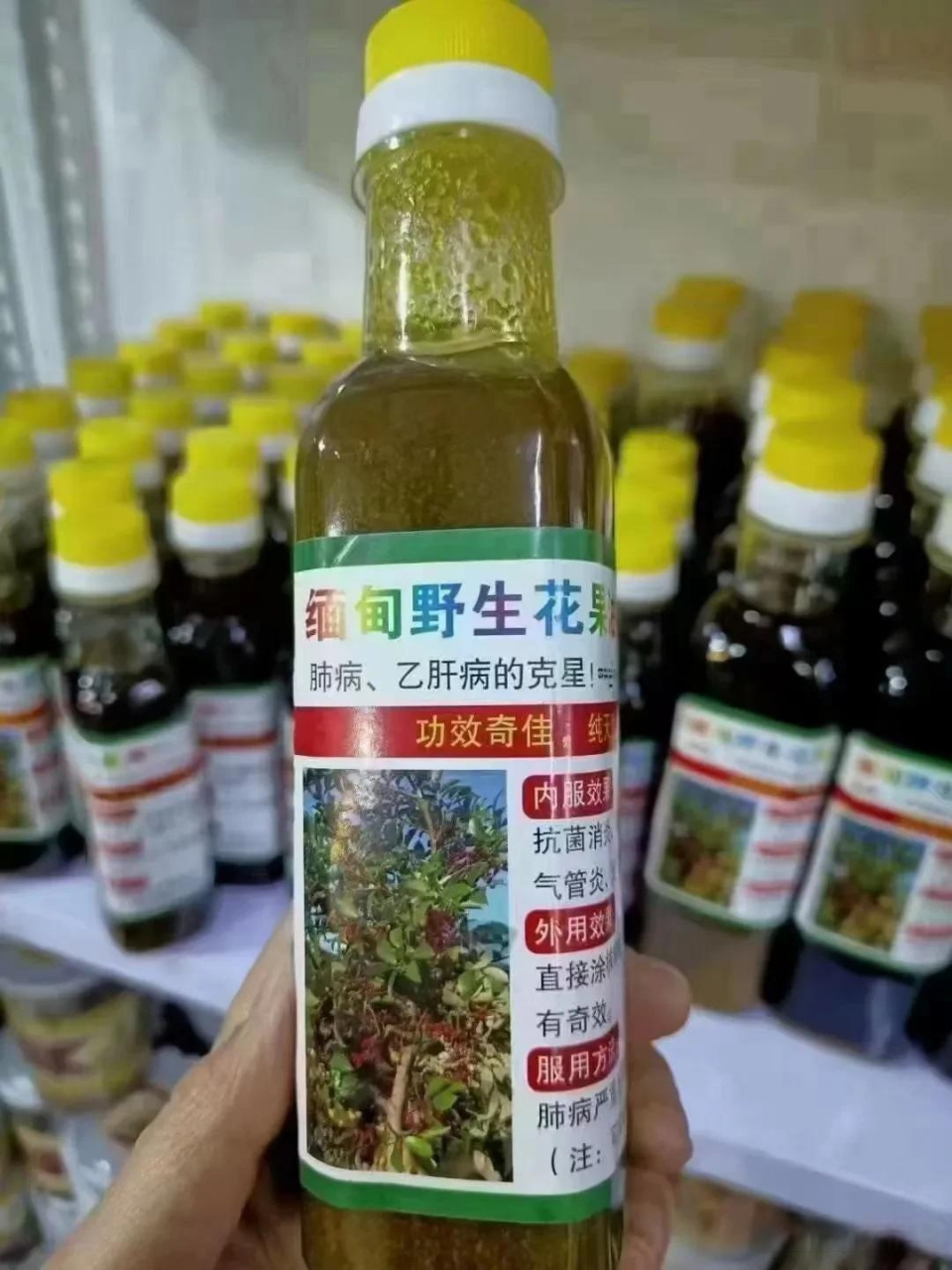 本人长期在缅甸,老挝发展!这个山区野生的花果油!