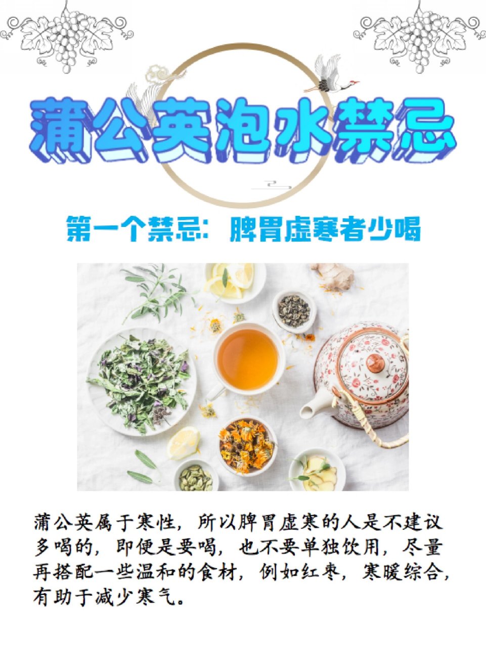 蒲公英的用处泡水图片