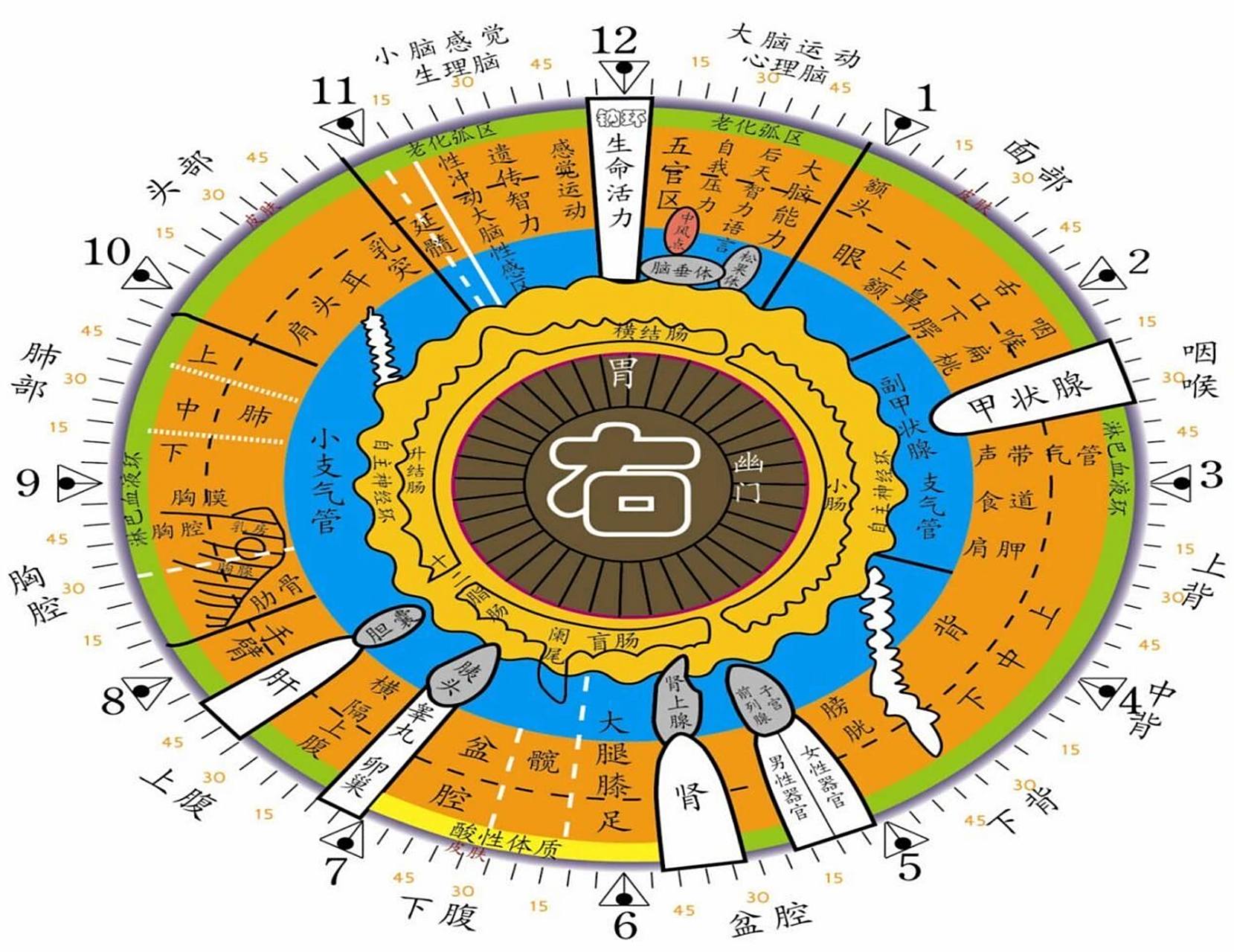 学会这个眼诊法,保证让你秒变老中医 9299小时