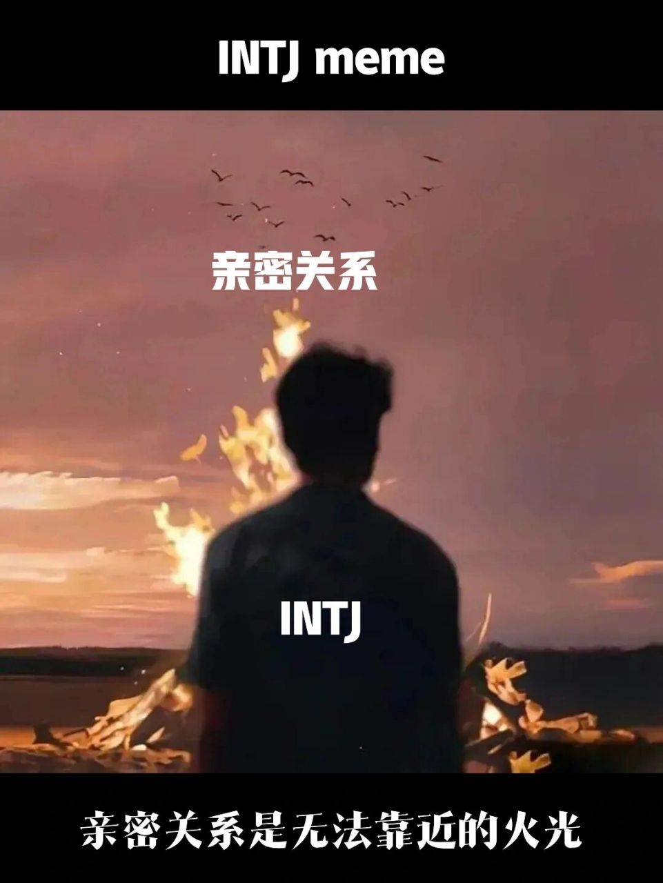 intj-a图片