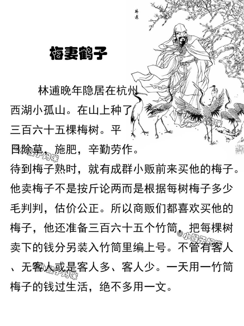 故事180:梅妻鹤子 #绘本故事# #小故事# #宝宝睡前故事# #胎教故事