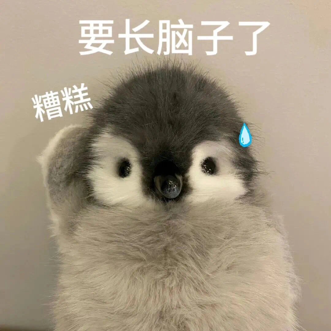要长脑子了 小企鹅🐧表情包也太可爱了叭 一整个爱住啦❤️ 	 "