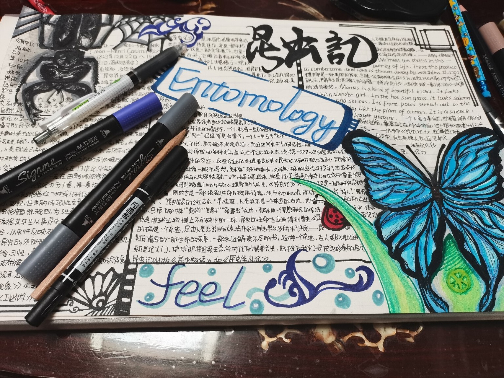 昆虫记手抄报原创9696