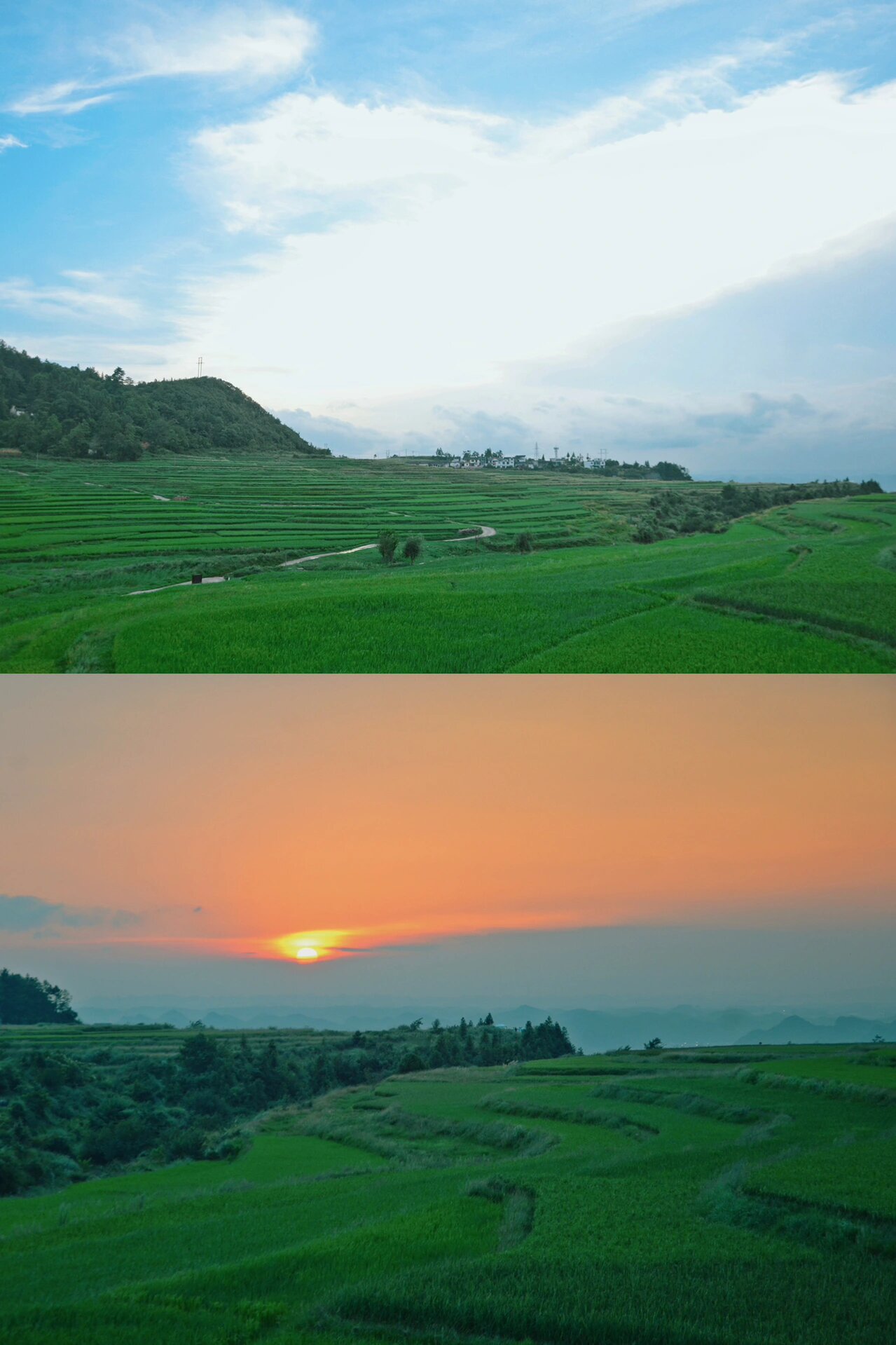 贵阳少数民族乡,追落日梯田的浪漫