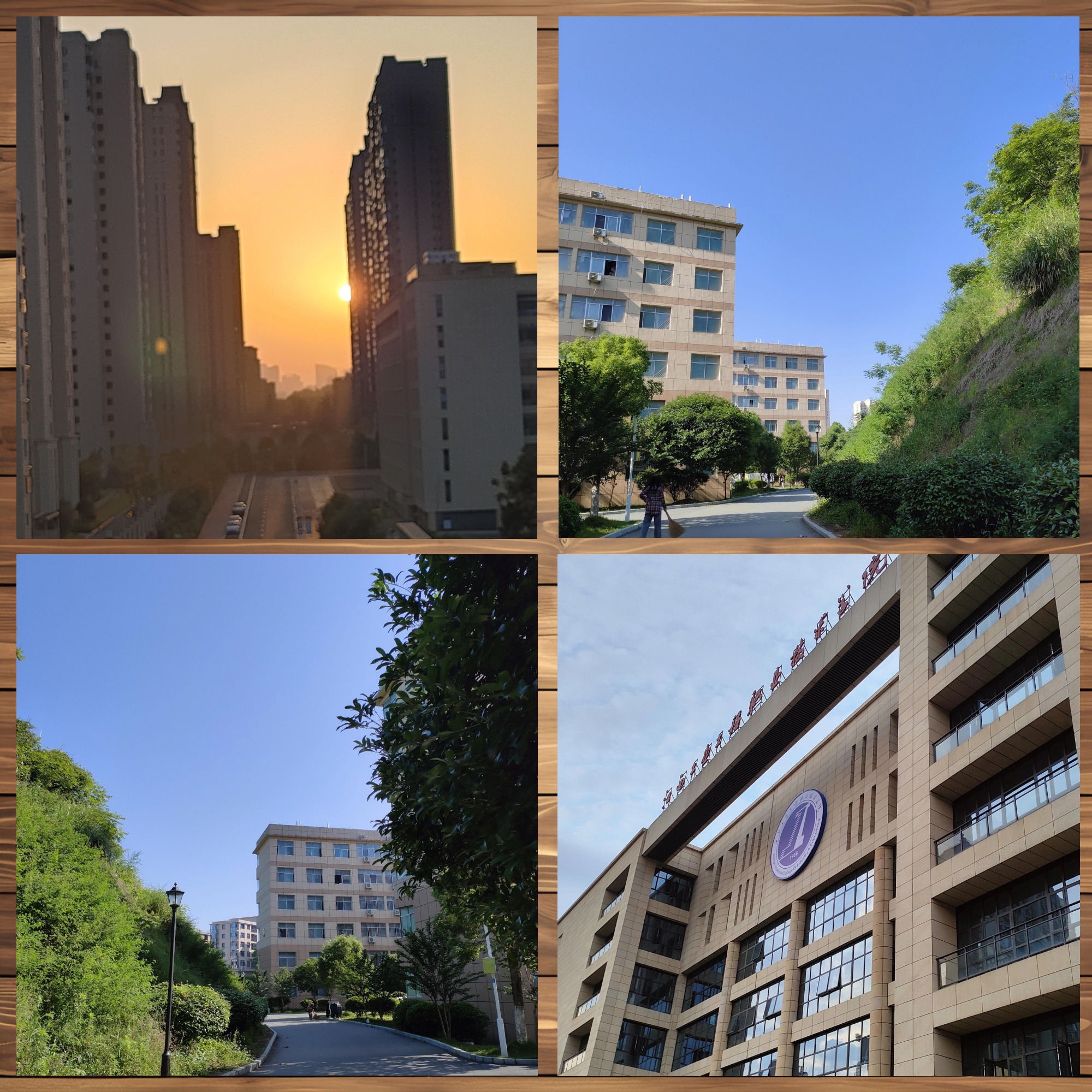 江西工院:彩虹下的工业梦校园风光无限美