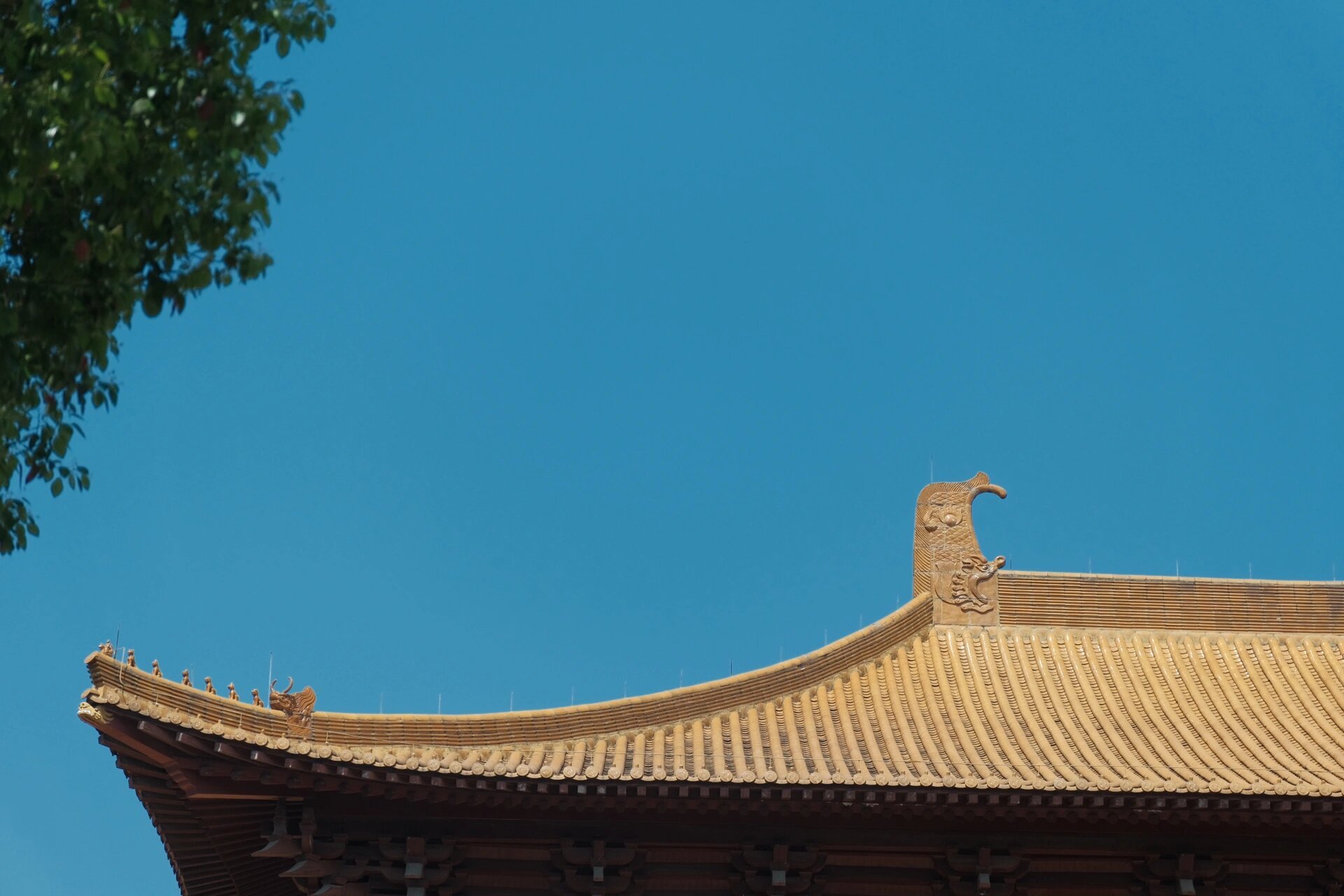 富士直出|金华北山脚下的千年古刹—智者寺 zhizhe temple 千年历史