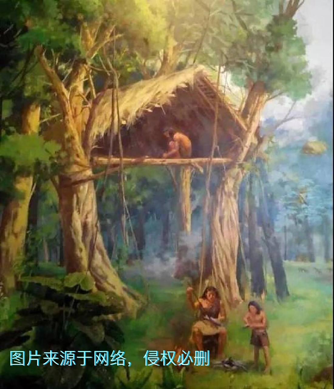 "构木为巢"～原始人的住宅进化史 原始人为了生存,白天要到树林中猎捕