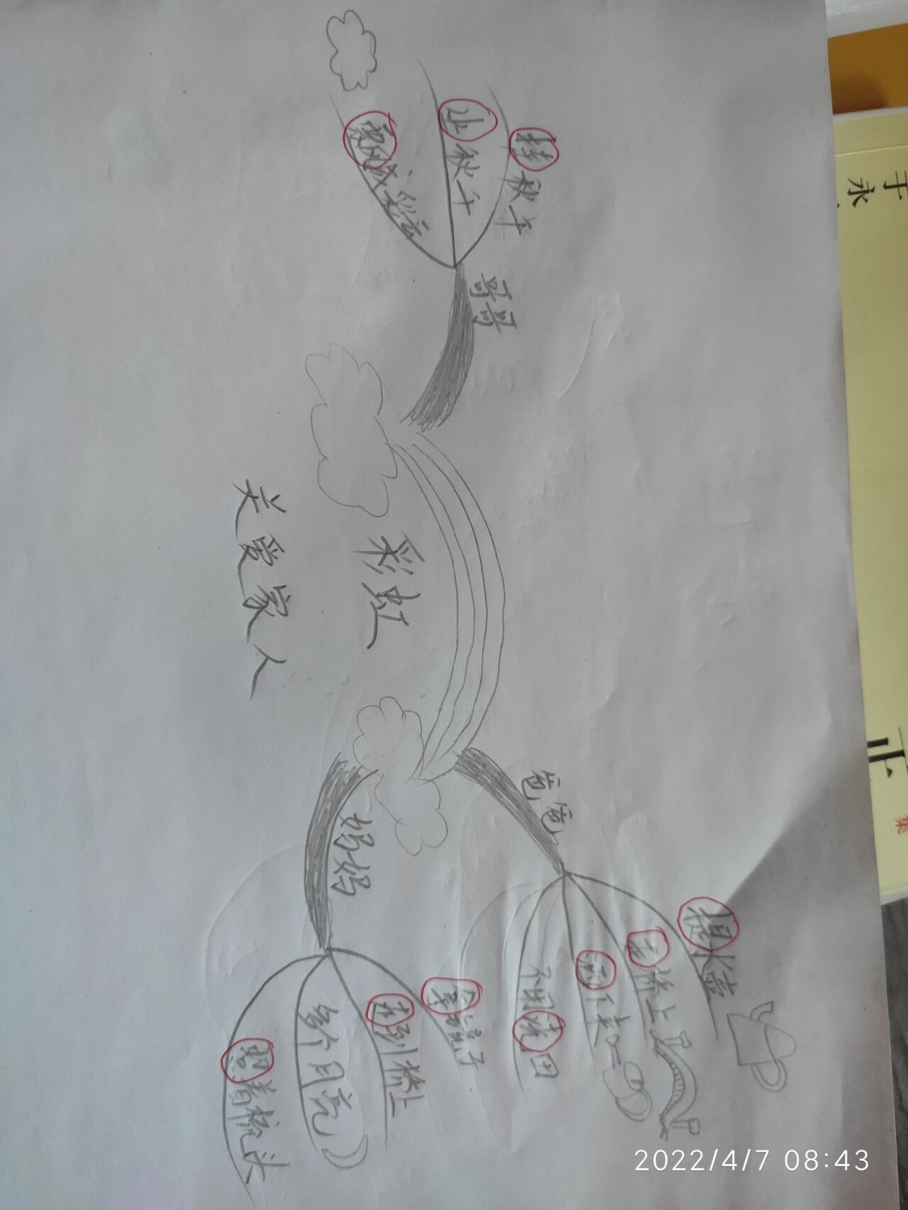 一年级语文《彩虹》思维导图