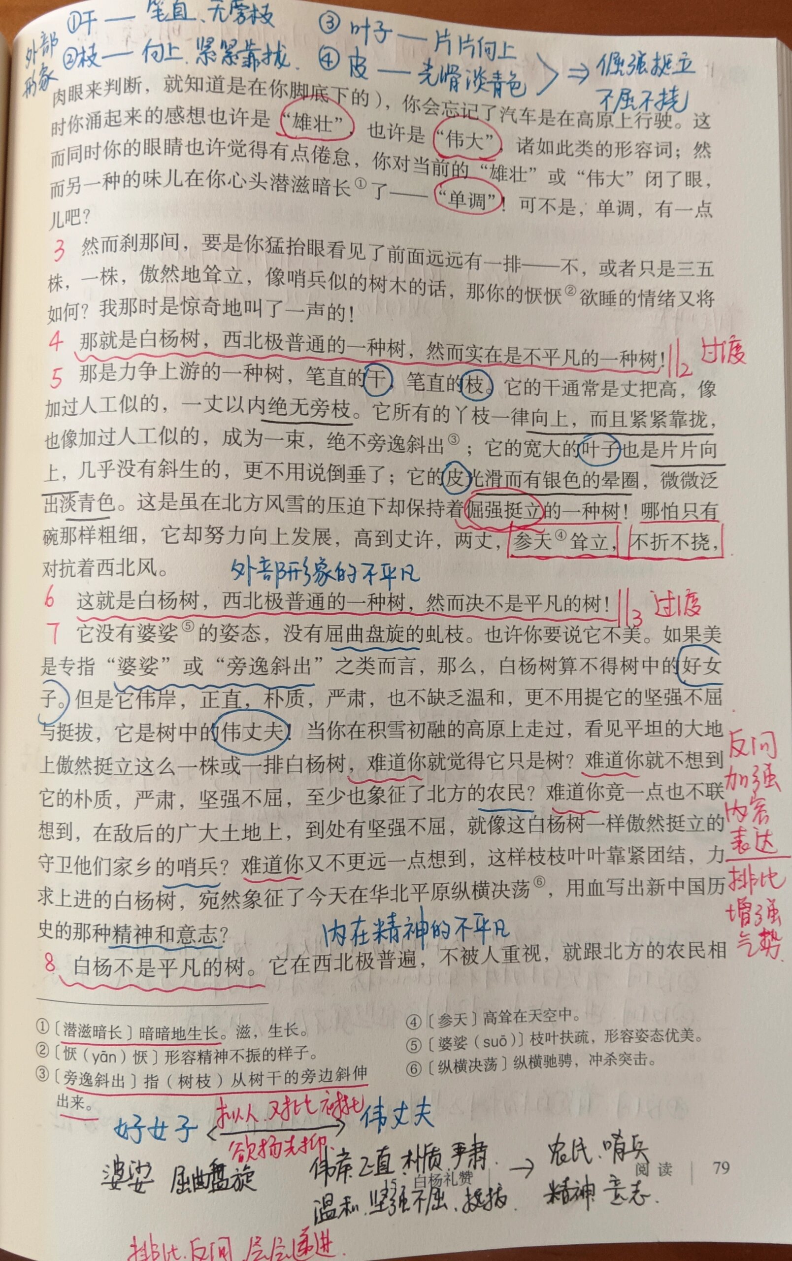 白杨礼赞的思维导图图片