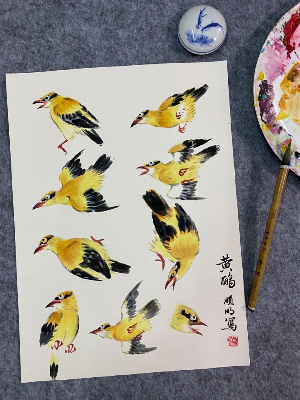 国画打卡第28篇  黄鹂画法