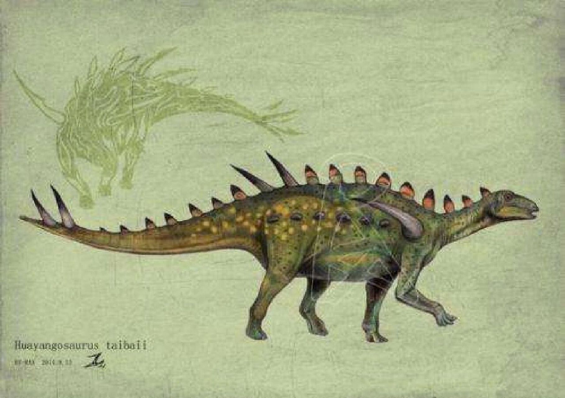 恐龙—剑龙亚目 简介 剑龙亚目是唯一在侏罗纪繁盛的鸟臀目恐龙.