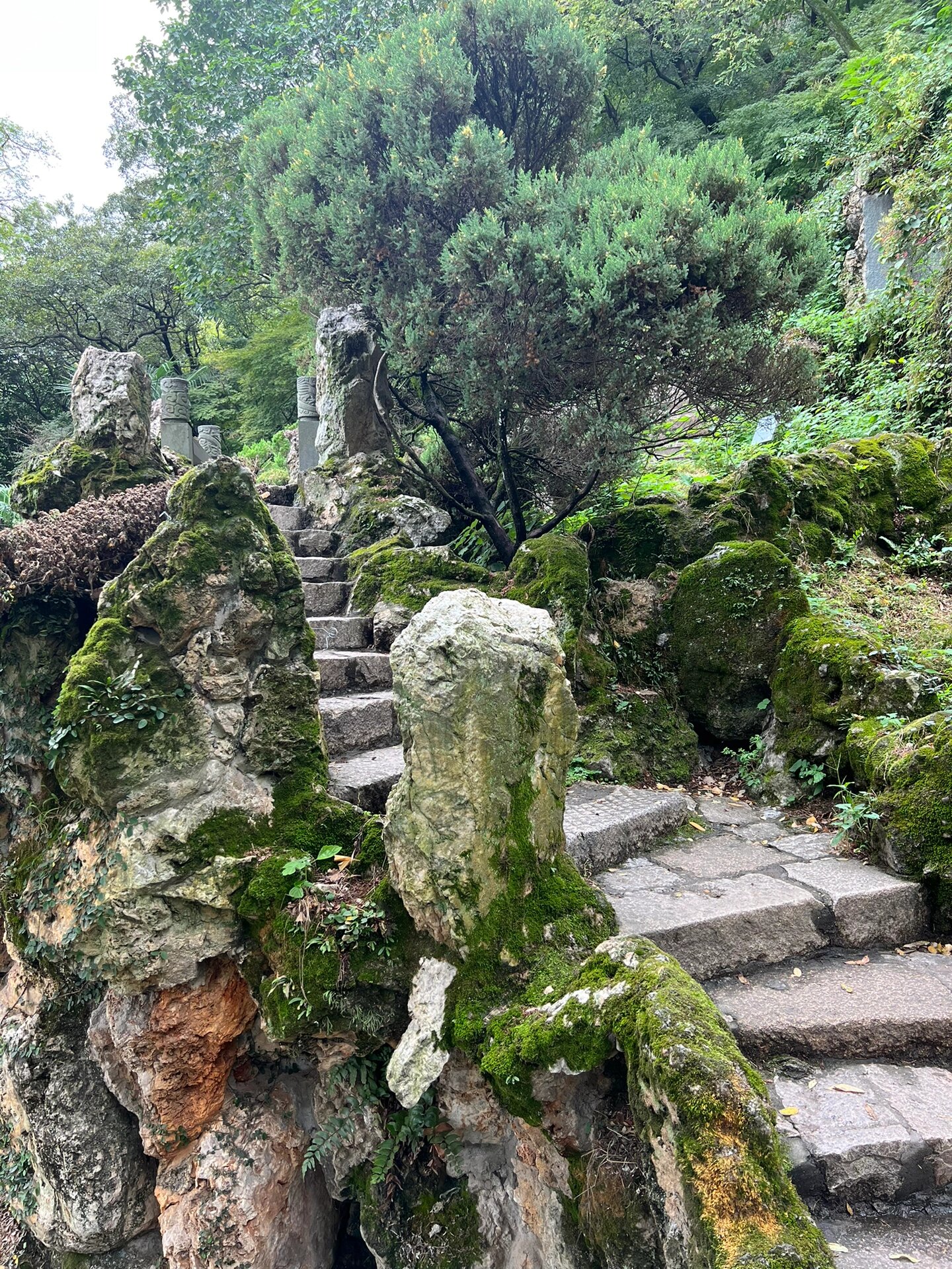 散步昆山玉峰山 不能称之为登的山,园林非常漂亮,值得边走边看边思量!
