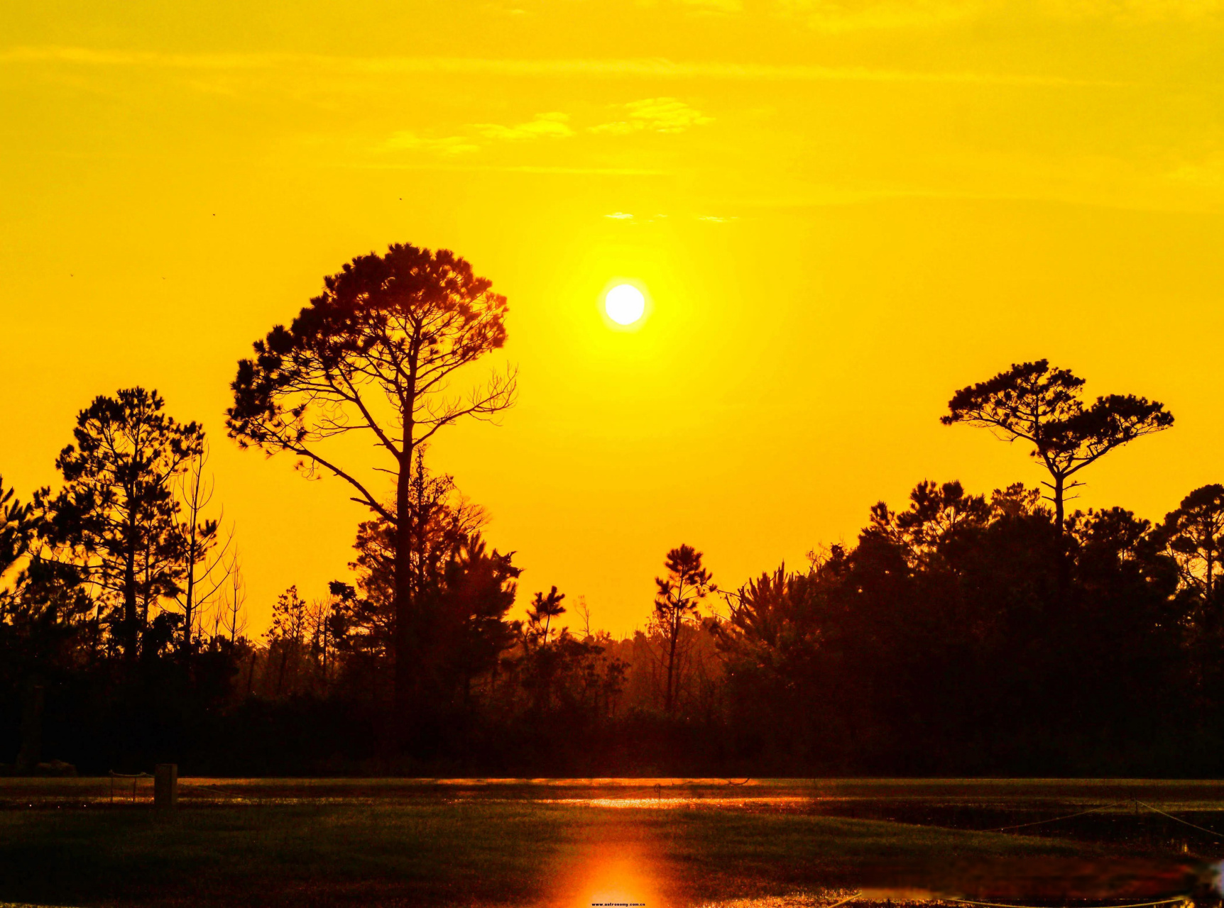 本义:太阳,阳光) 东曦既驾——《聊斋志异·促