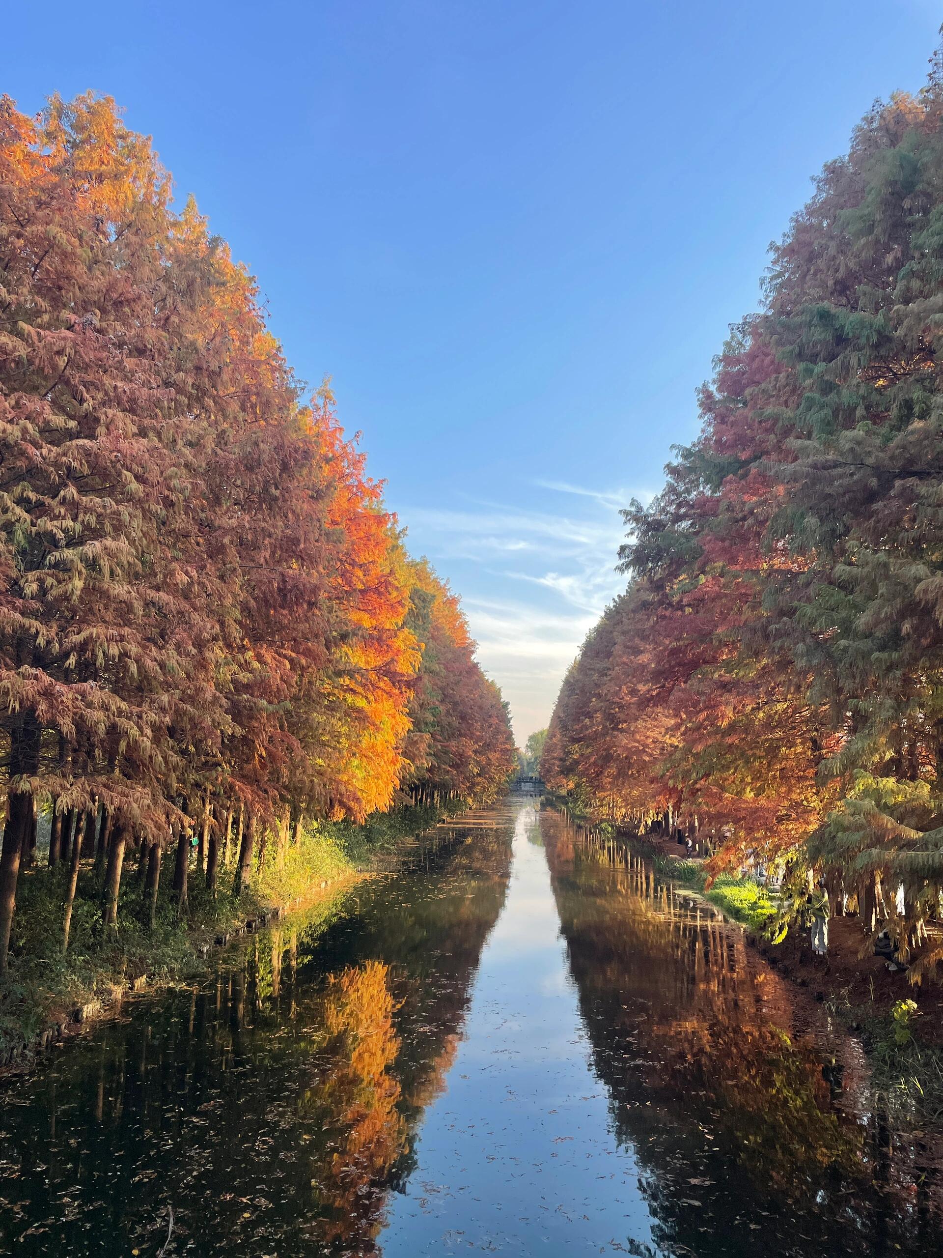 漕湖湿地公园