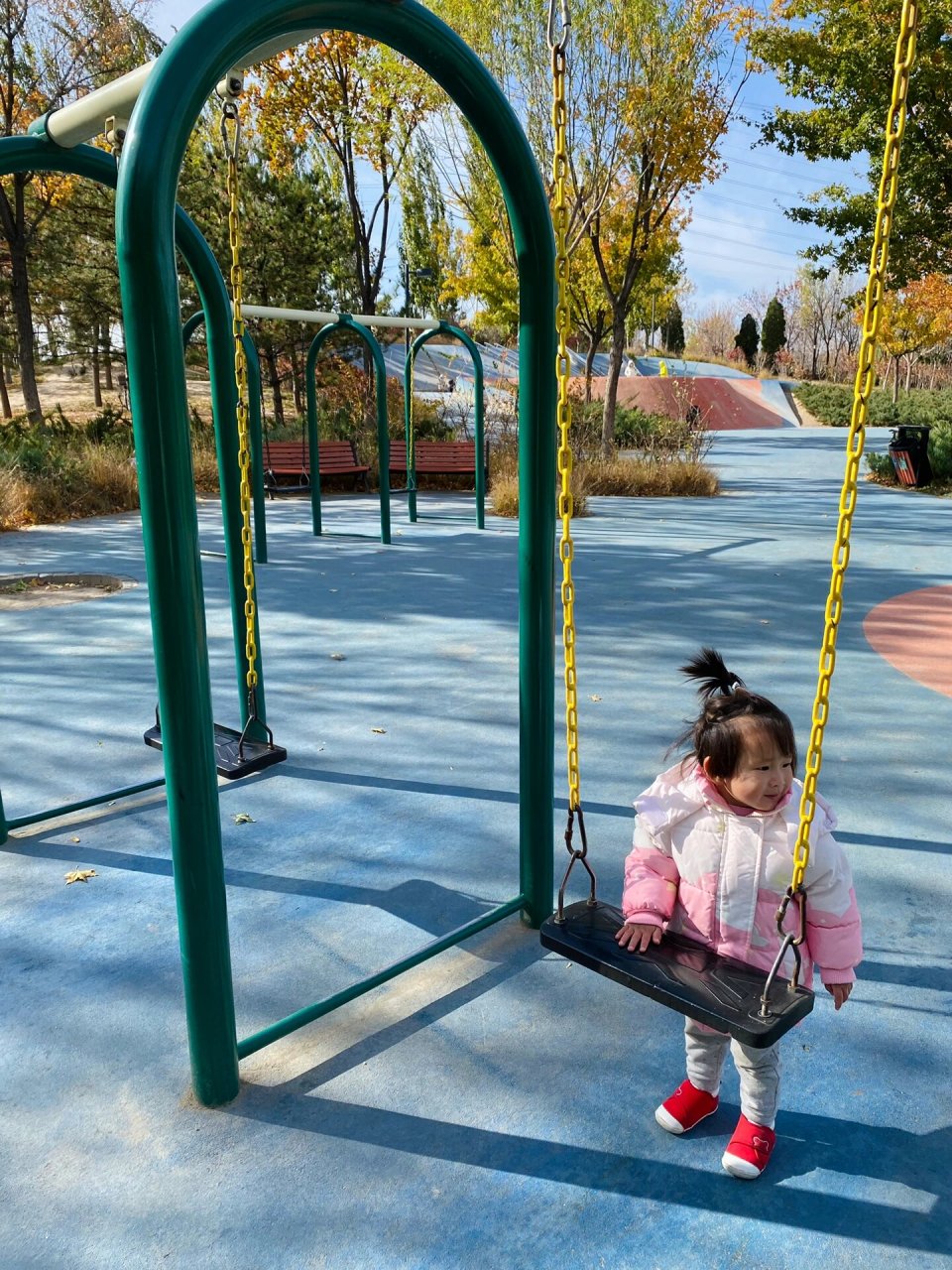 西小口公园遛娃,秋天的颜色太美了  99地址:海淀区西三旗街道育新