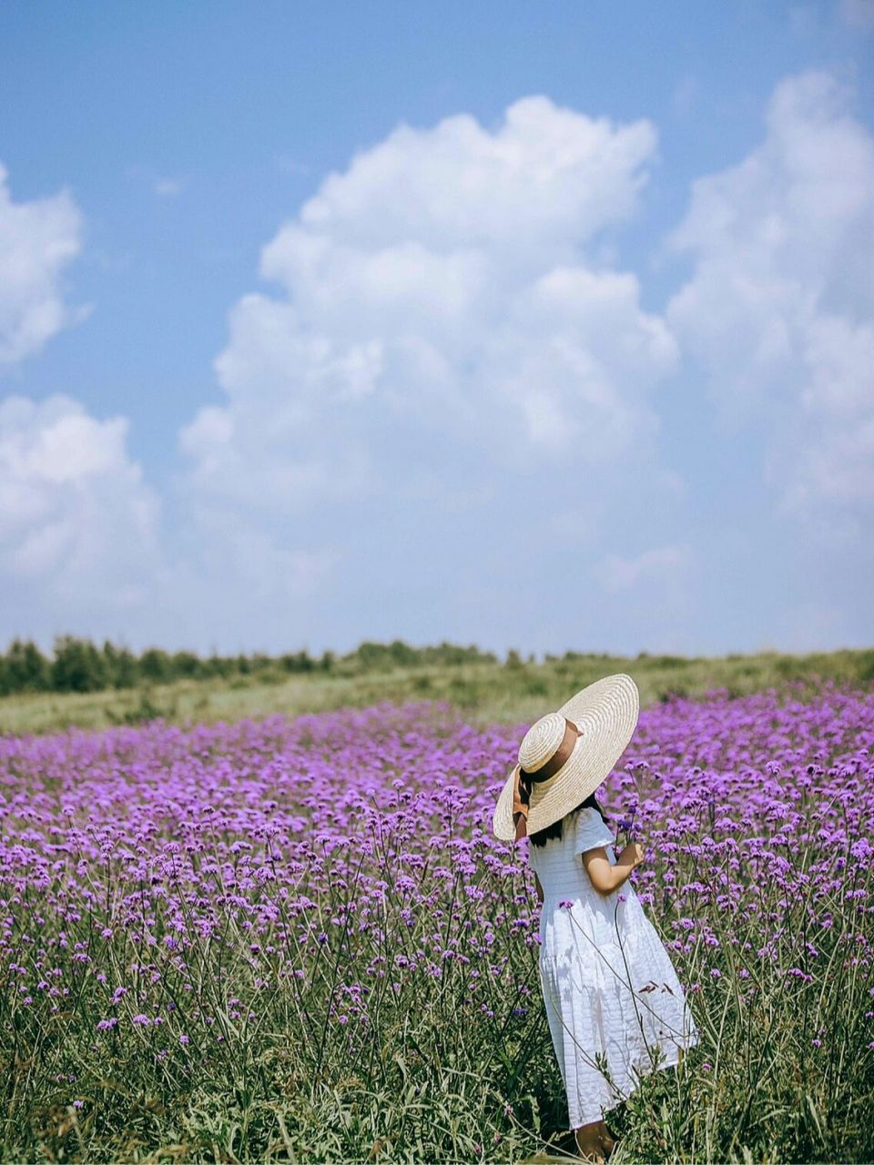 廊坊周边游——张北草原天路 暑期小出游,我们选择了张北草原 在西线
