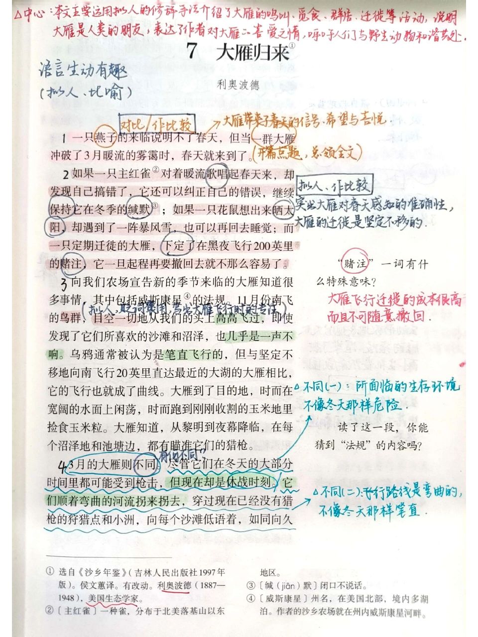 《大雁归来》备课笔记 跟着学备课