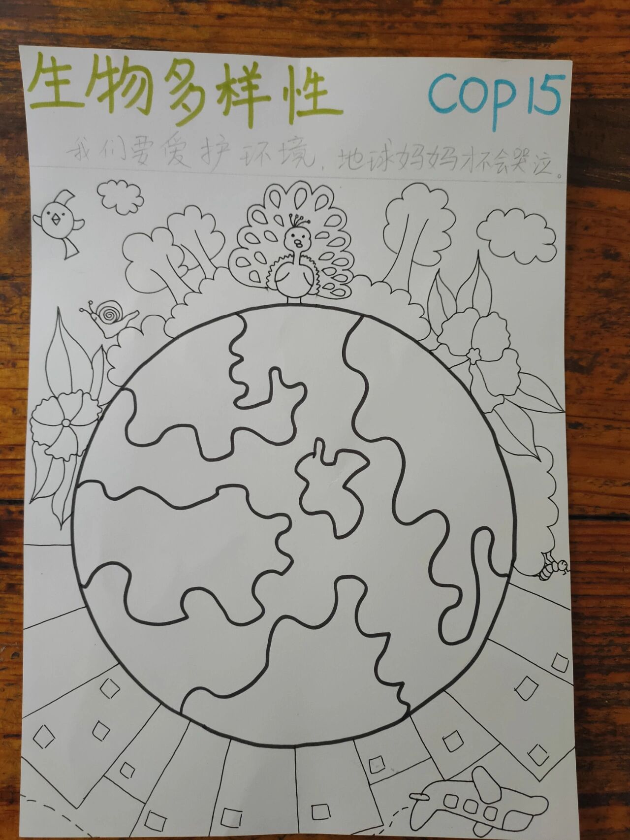 生物多样性手抄报