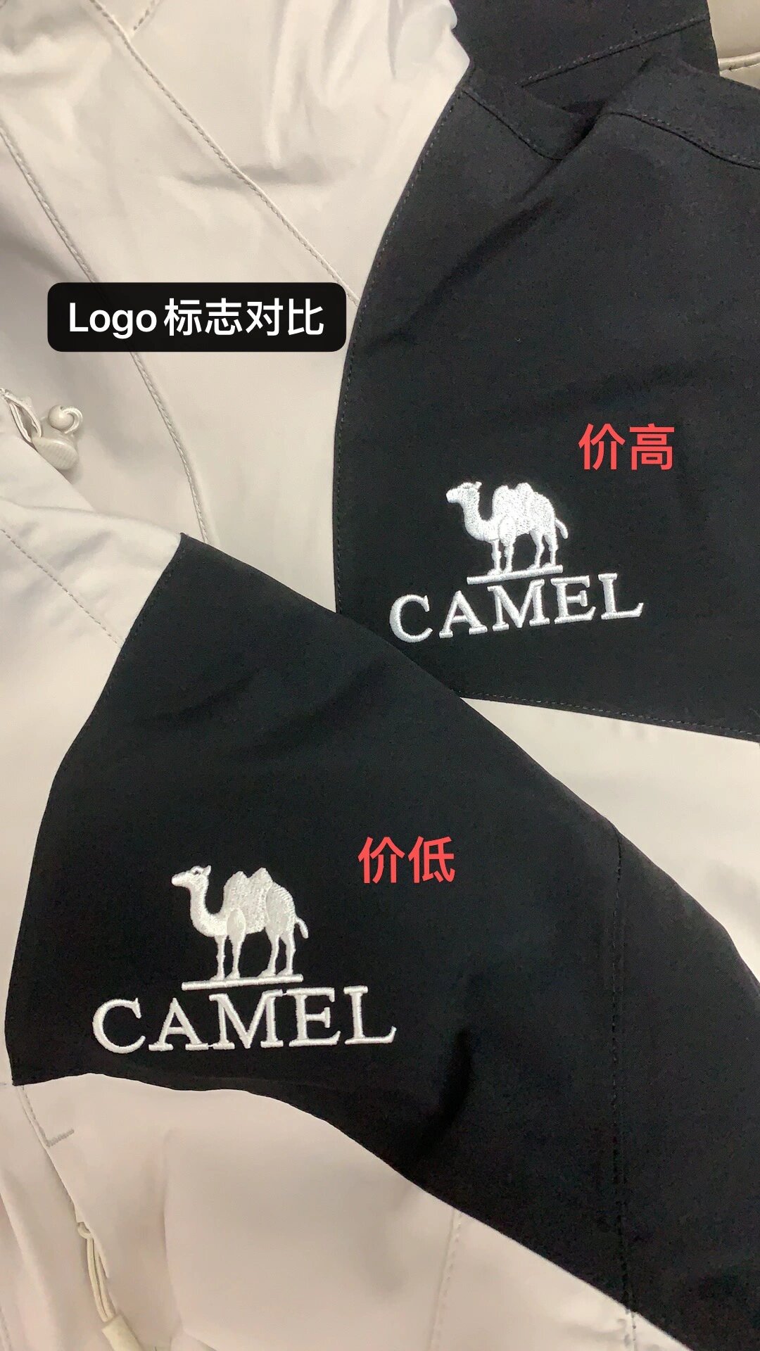 骆驼饲料logo图片