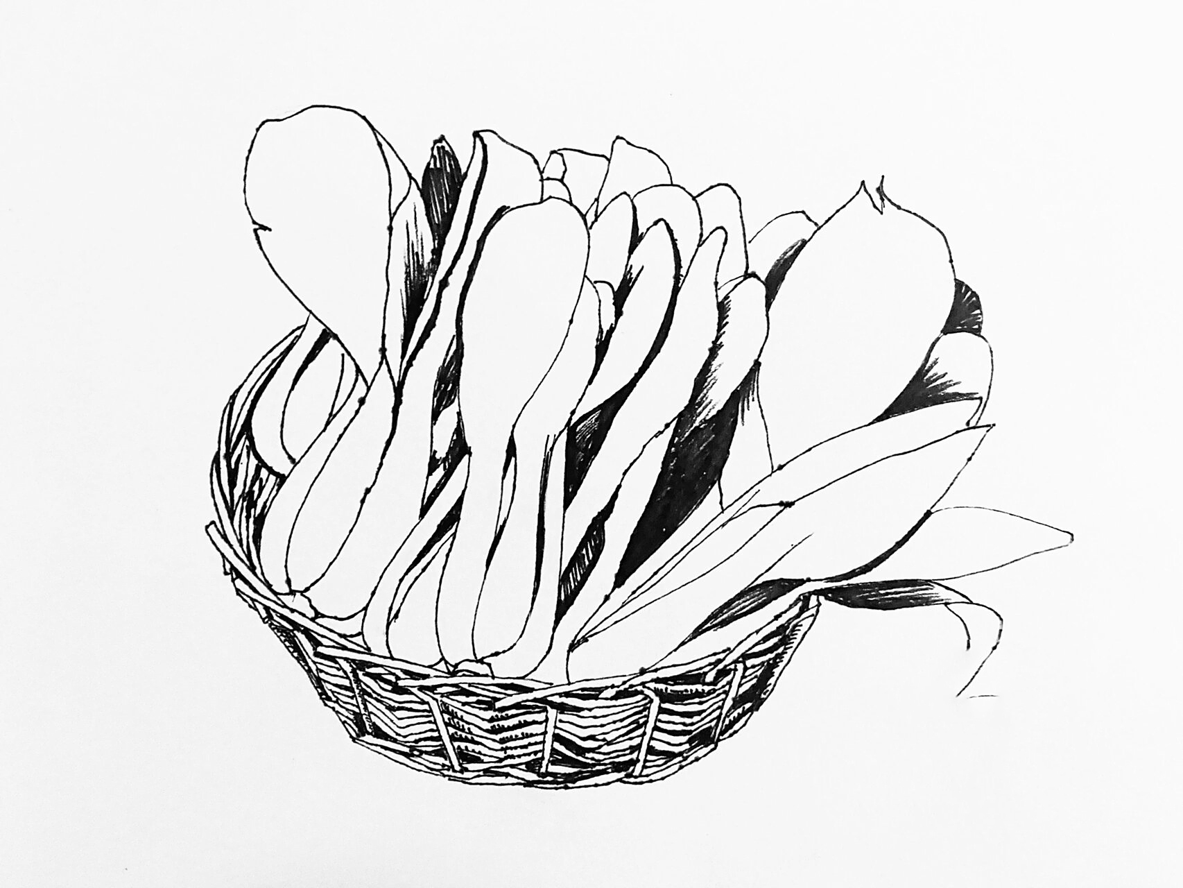 一篮小青菜—写生线描 青菜写生线描步骤: 1,图片准备 先找一些高清的