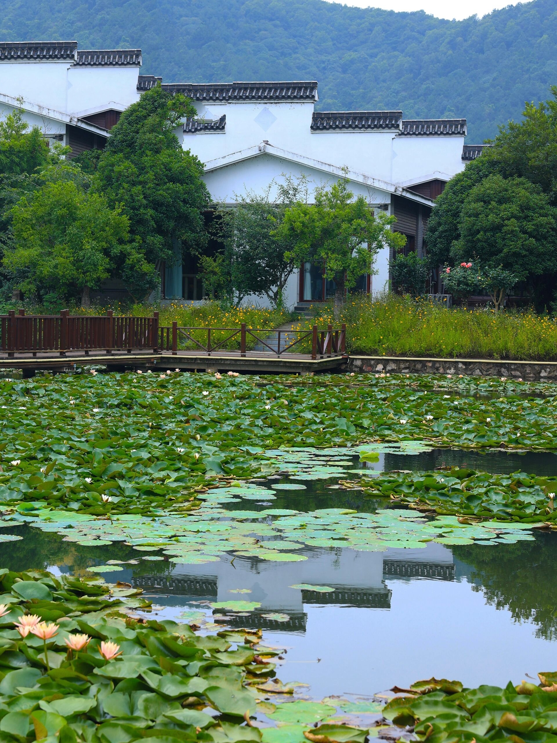 水韵江苏·有你会更美 周末,逃离城市,去位于溧阳上兴镇的曹山旅游