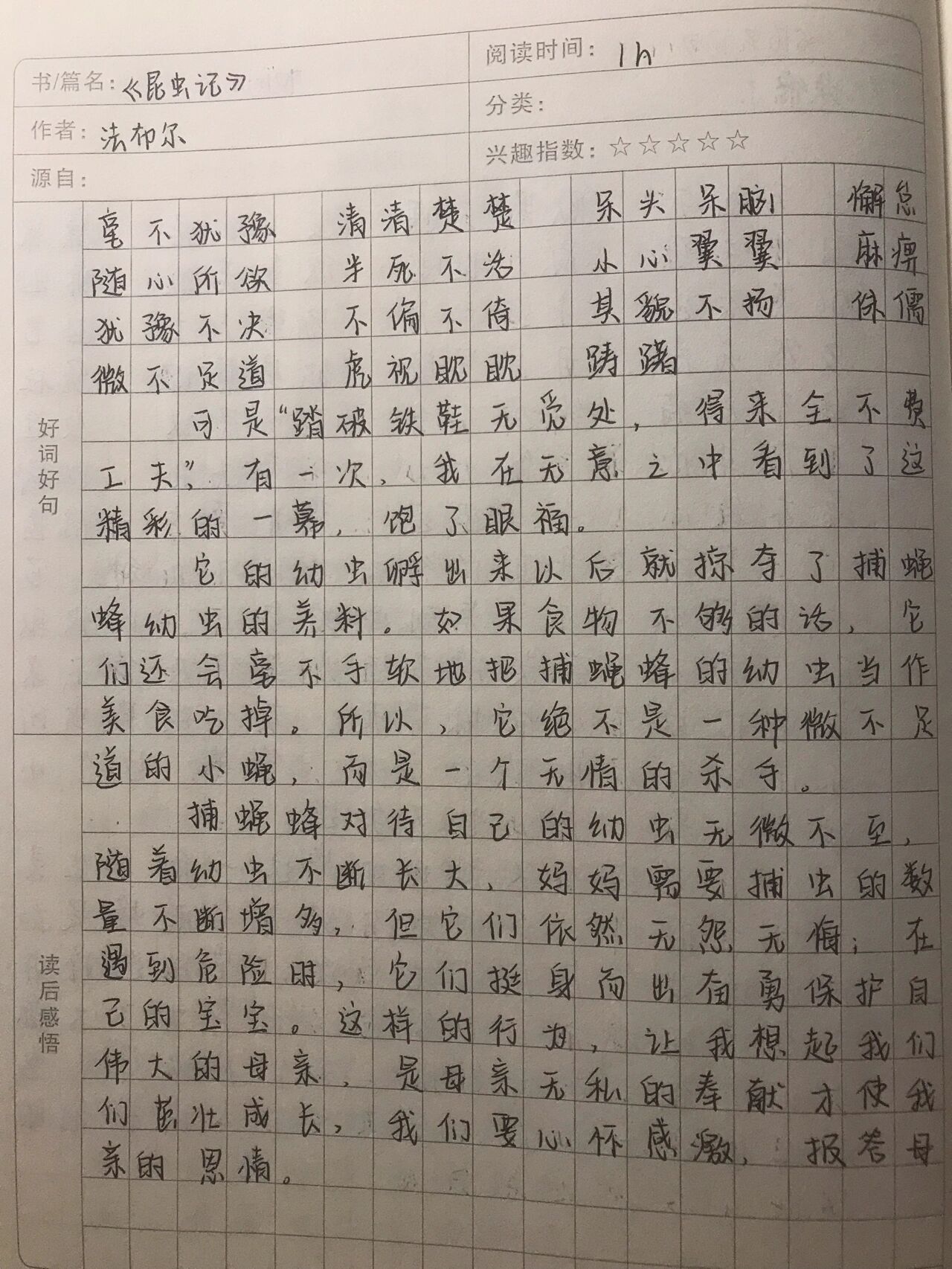 《昆虫记》——捕蝇蜂 读书笔记