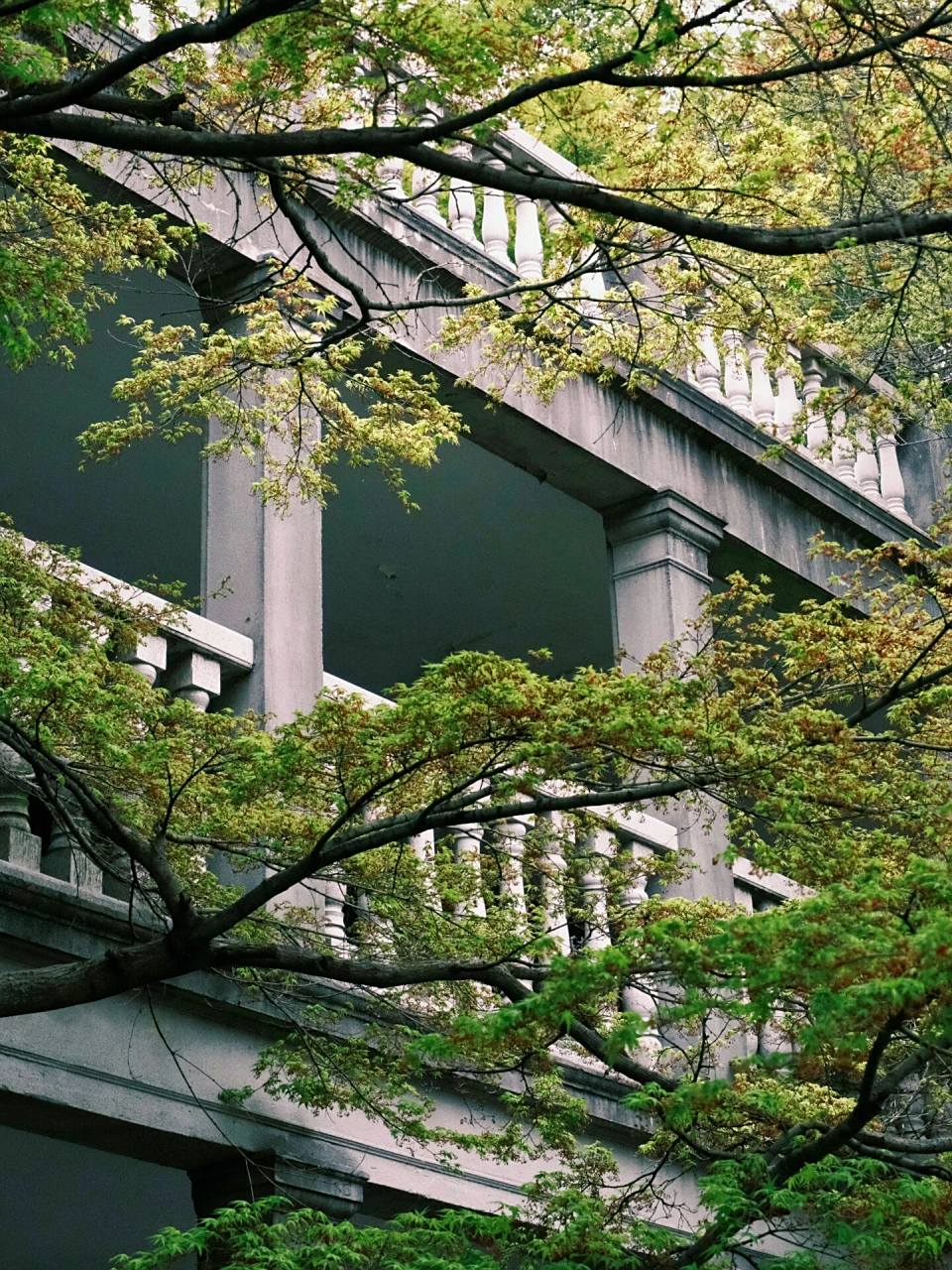 苏州大学05这不是电影里才有的唯美校园吗 春天的苏大校园实在是太