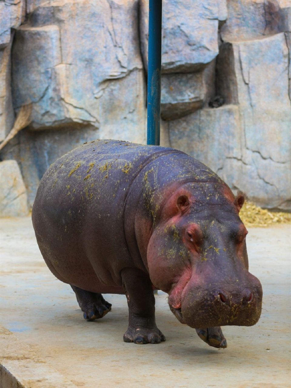 今天推荐一个烟台周边游打卡地 ——龙口动植物园96 在这里感受大