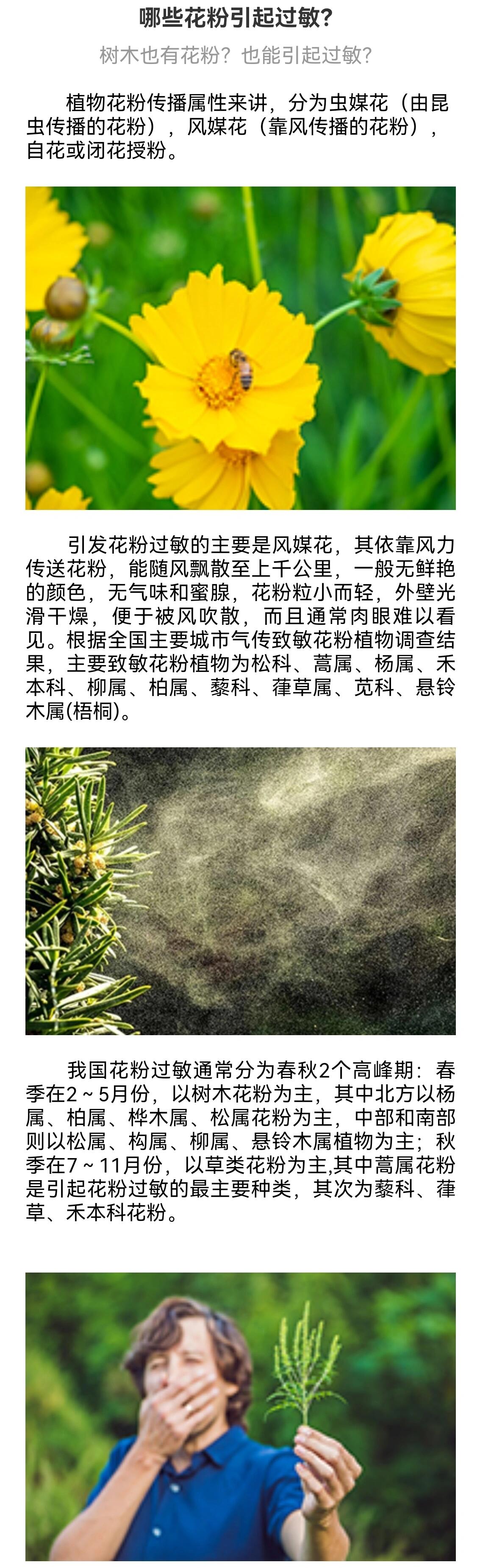 风力传粉图片