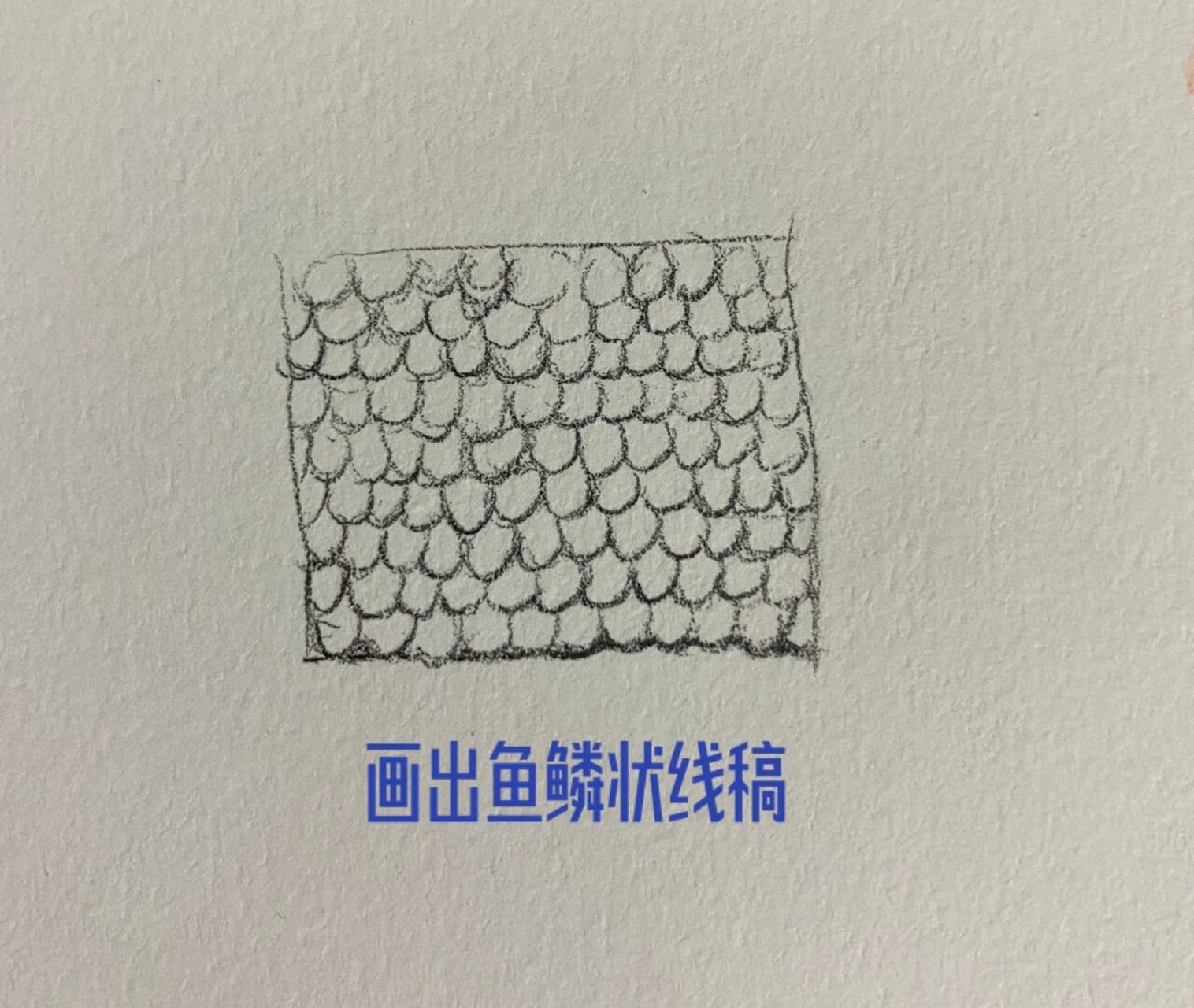 鱼鳞画法教学图片