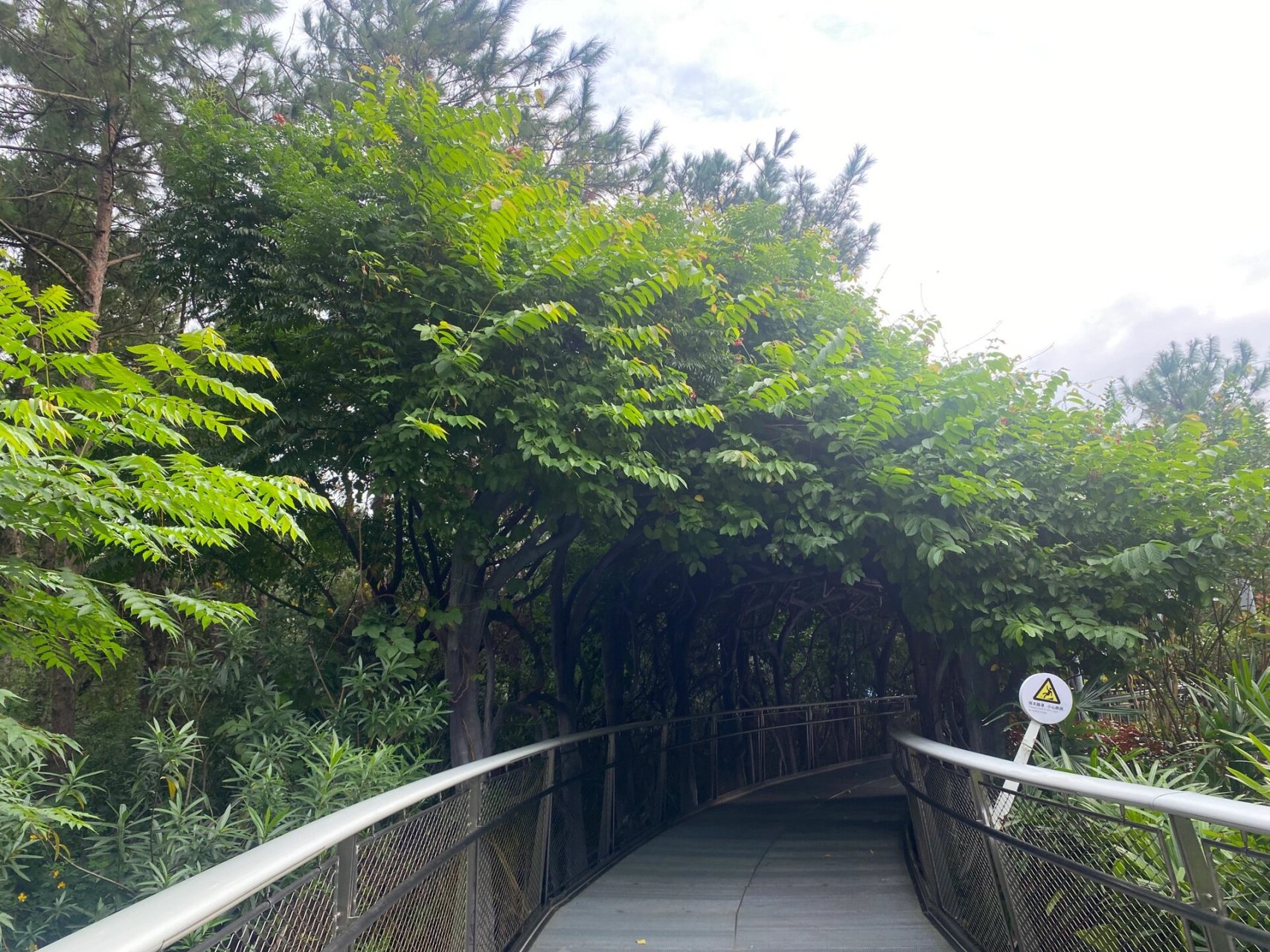 廈門山海健康步道 天氣:陰 22-25° 微風 地址:從仙嶽山公園出發到