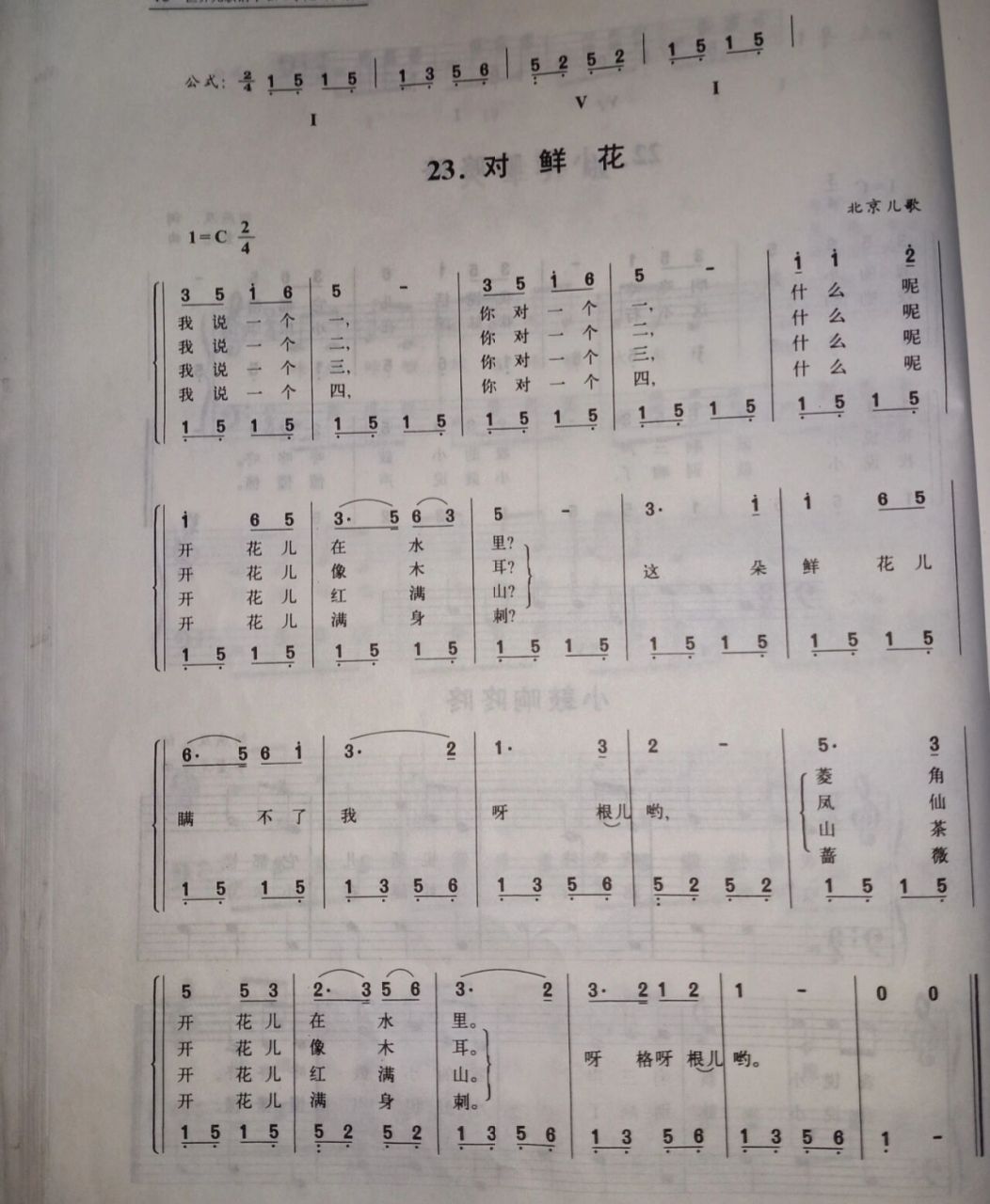 儿歌简谱《对鲜花》(16/99)