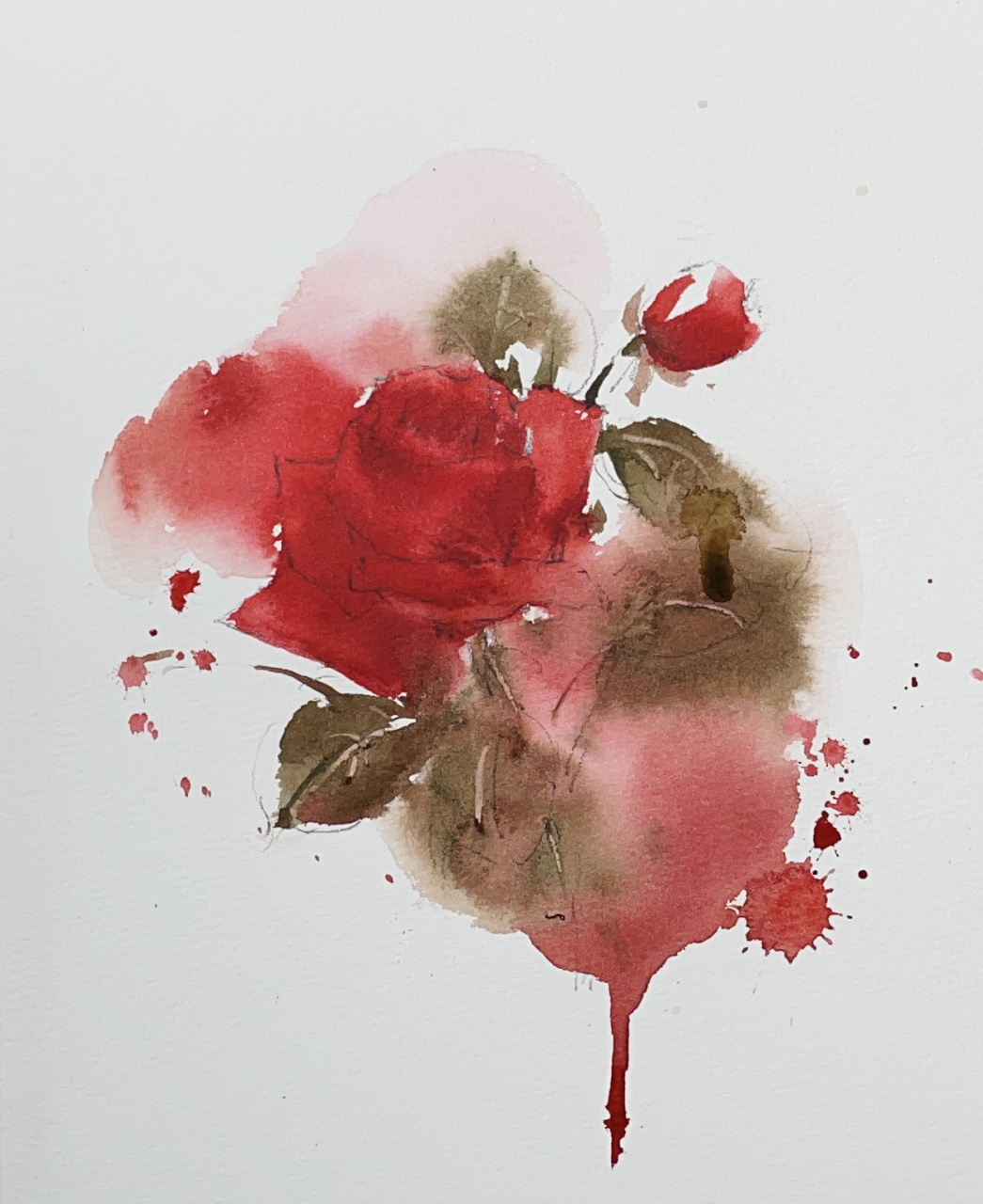 超详细的水彩红玫瑰教程 看着这组图 我不允许你还不会画玫瑰