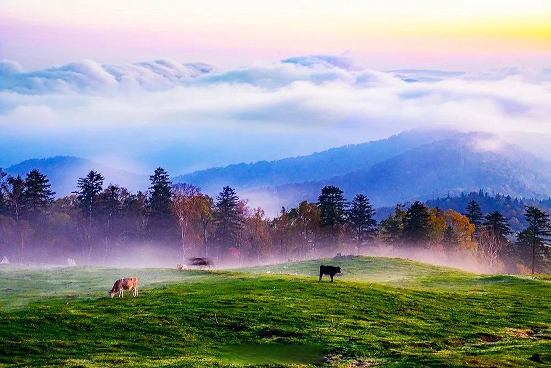 景区坐落在临江市花山镇,是鸭绿江和浑江两大河系的分水岭,以其静谧