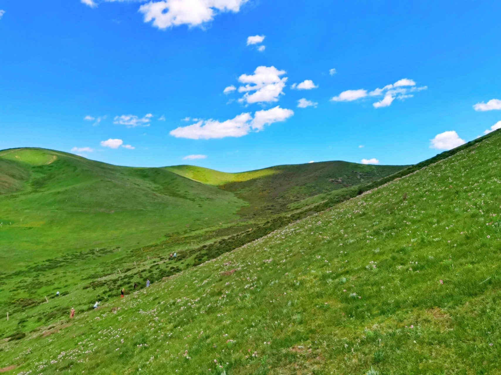 天祝抓喜秀龙大草原   治愈系风景