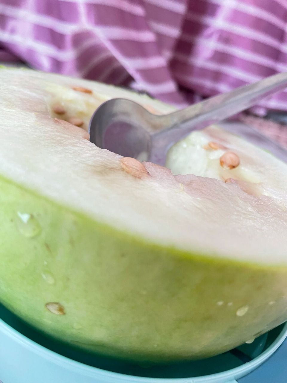 姐妹姐妹山西运城万荣三白瓜了解一下 姐妹姐妹吃瓜嘛