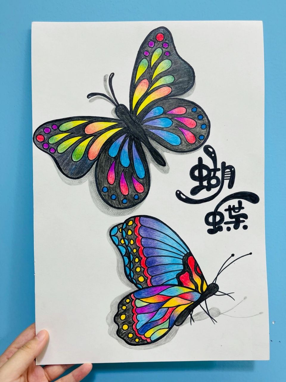 969696儿童创意美术:二年级写生「蝴蝶」 二年级 材料:彩铅77