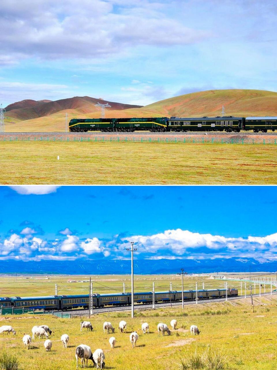 进藏列车|保姆级攻略 想去西藏,更想尝试期待已久的天路之旅z164列车