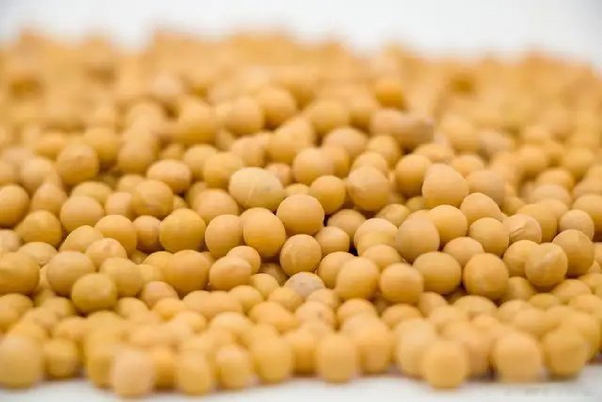 油脂类期货出现分化,豆油黄二涨停,部分品种大幅回落 这时是买弱的