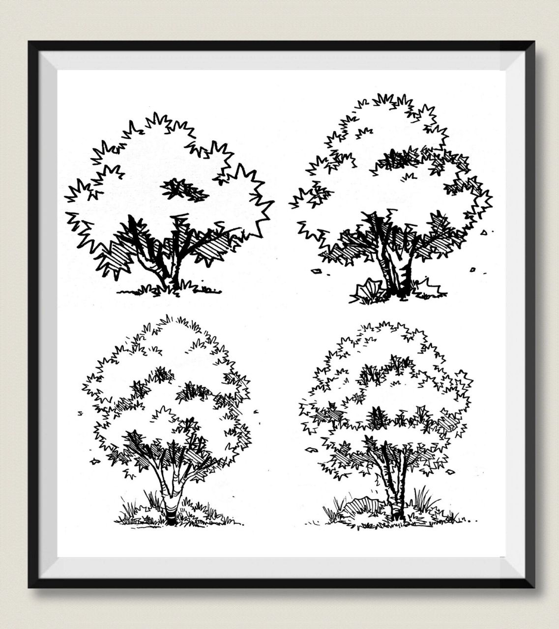 99《环艺植物手绘:乔木篇》大放送! 99绝对原创,盗图必究!