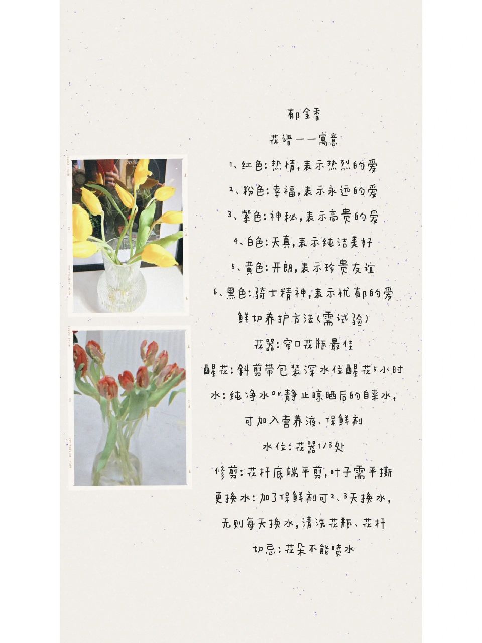 每天认识一种花——郁金香 郁金香 花语——寓意 1,红色:热情,表示
