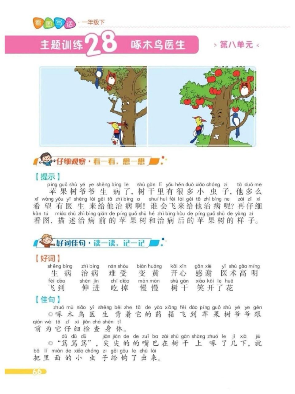 啄木鸟医生治病{看图写话} 看图写话五要素:时间 地点 人物 事件 感受