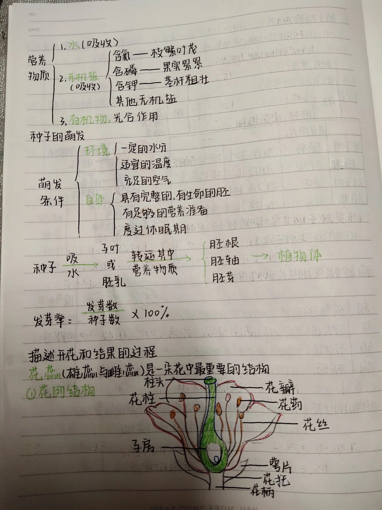 初一七上生物笔记