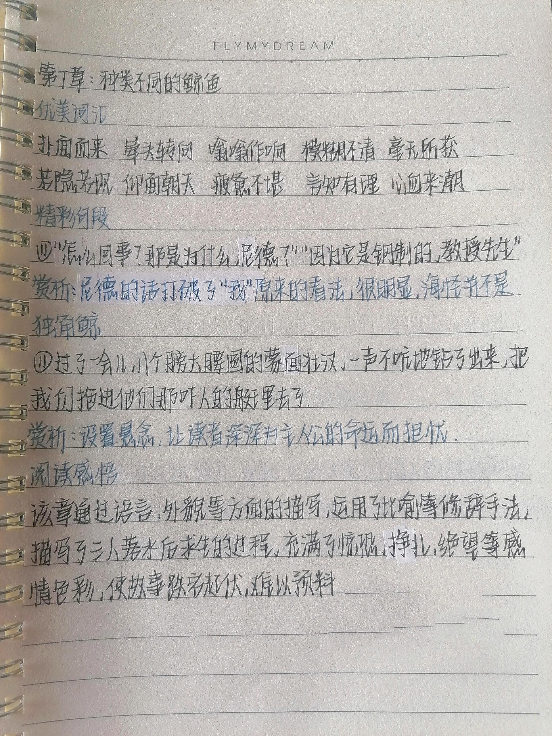 海底两万里笔记内容图片