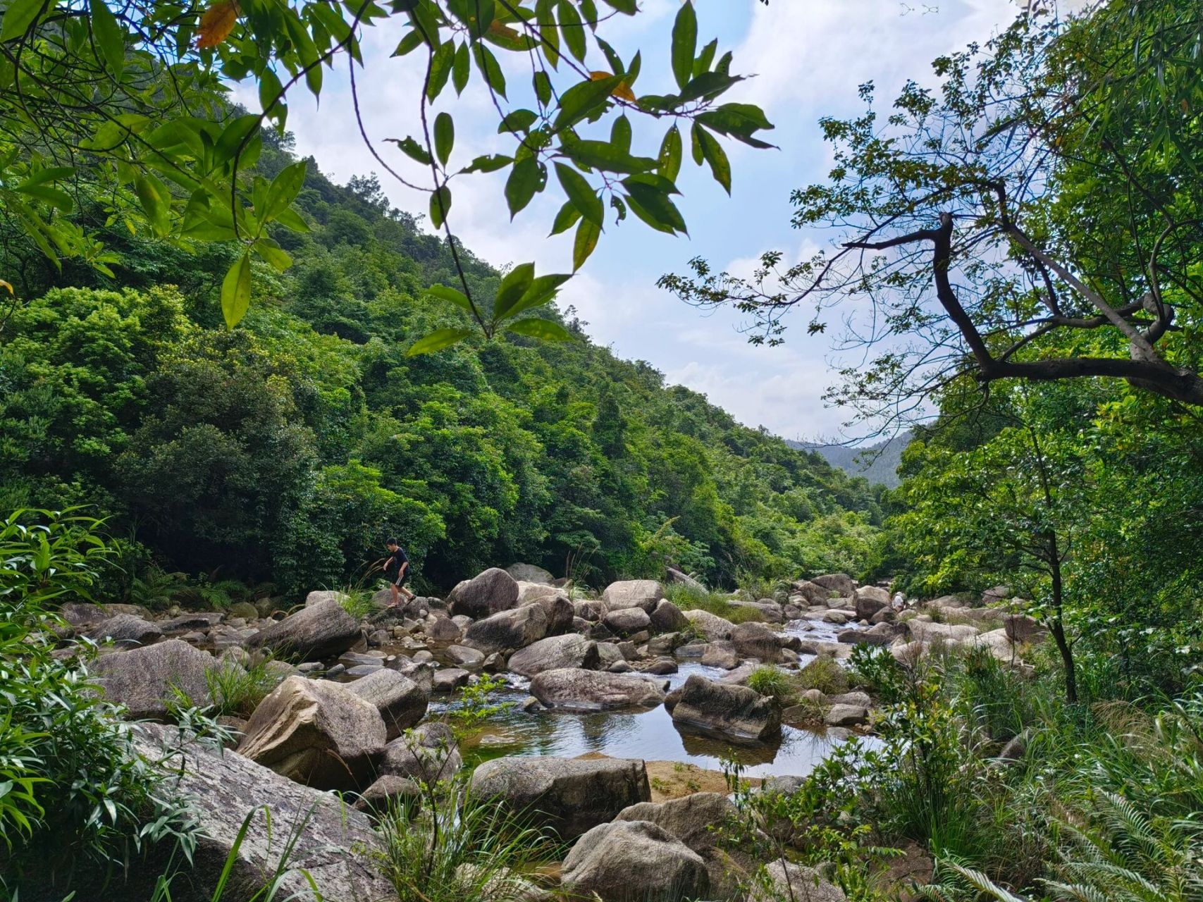 江门森林公园排名图片