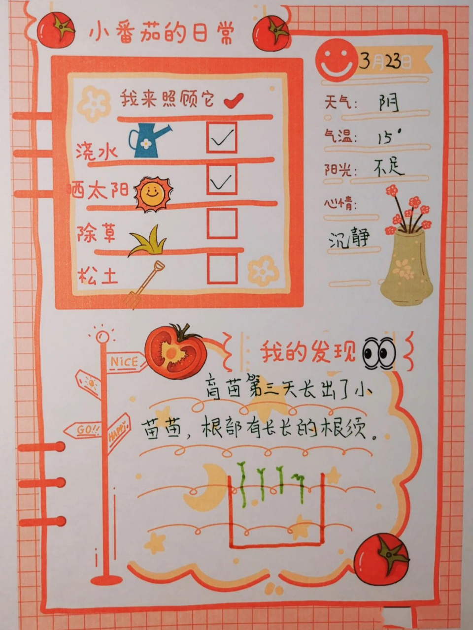 小番茄种植记录表图片