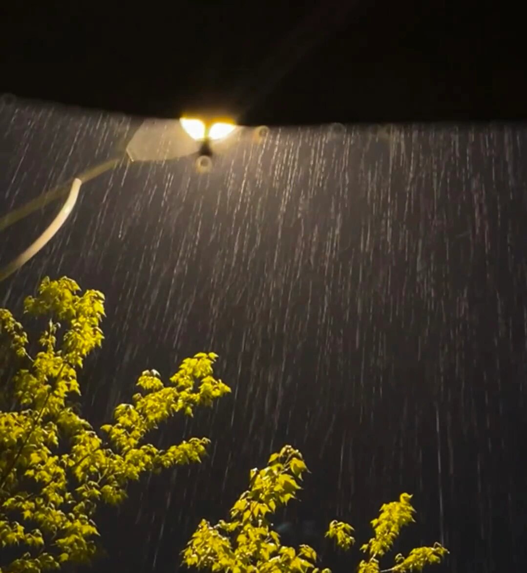 小雨淅淅沥沥图片