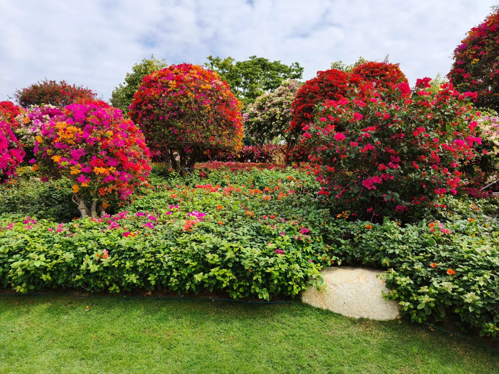 三亚崖州区必玩景点 ----三角梅科博园 三角梅科博园位于三亚崖州区内